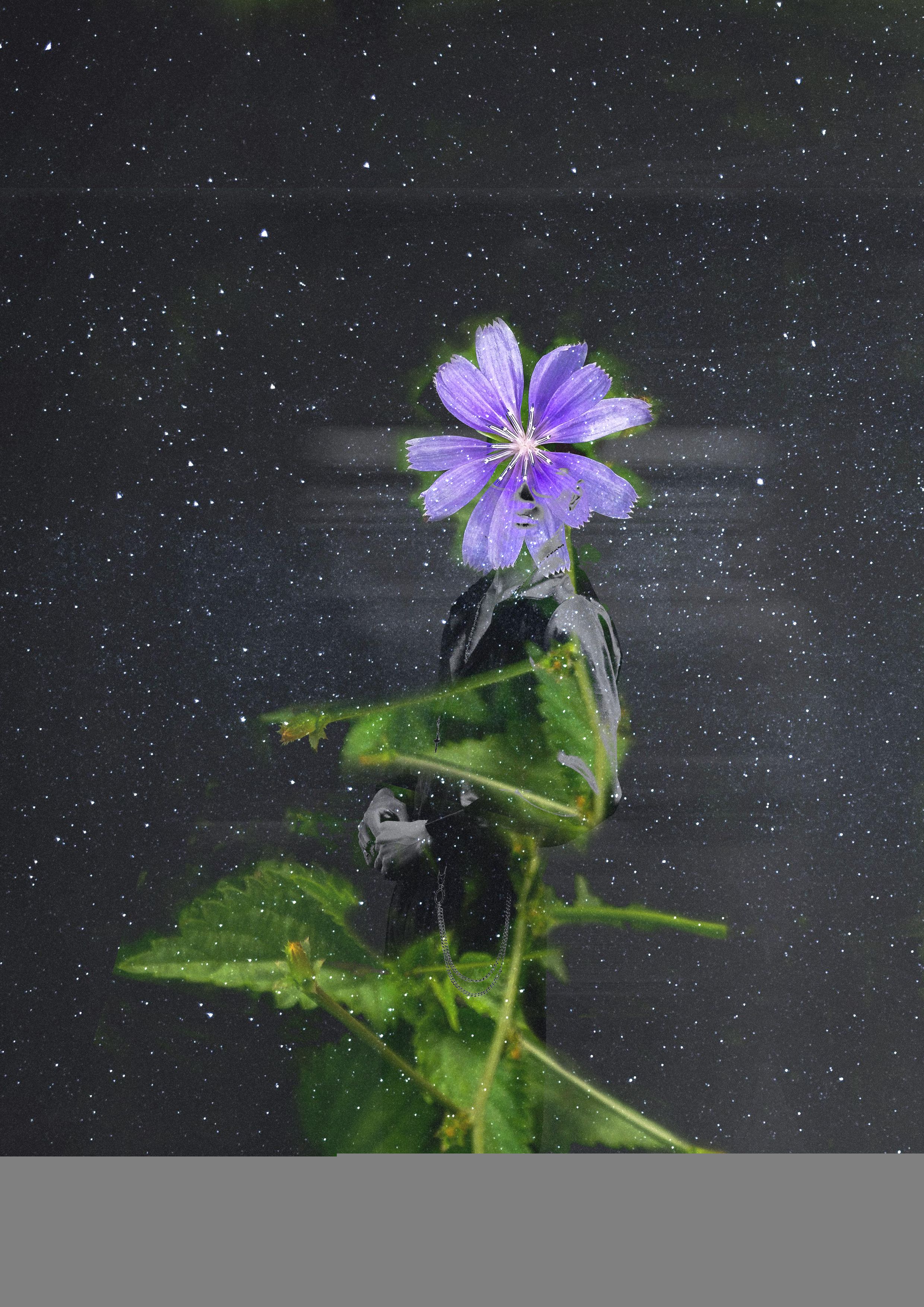 A moment in the spring meadow